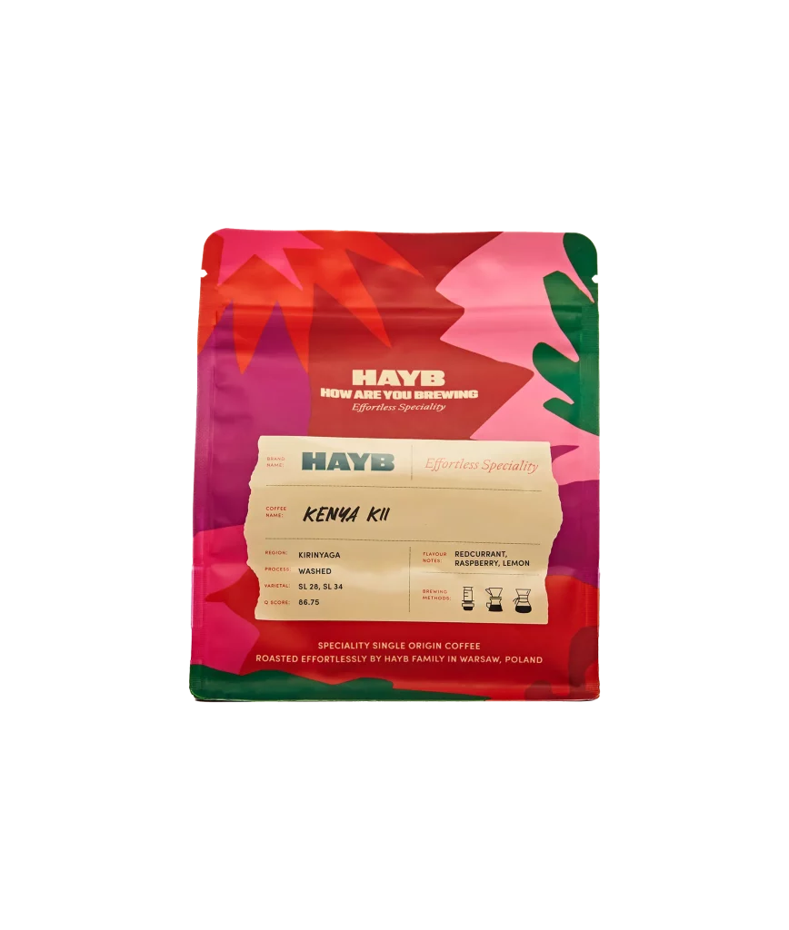 Kenya Kii_Filtr_HAYB Kenya Kii
